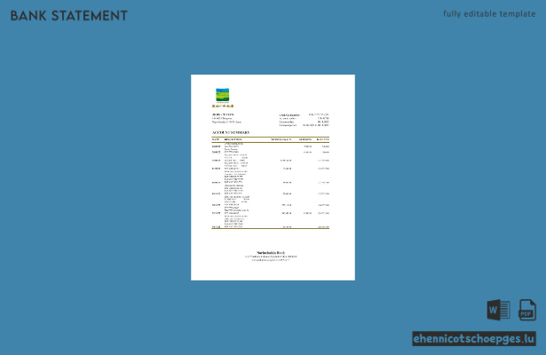 Beispiel für einen Kontoauszug der japanischen Norinchukin-Bank (Excel-Vorschau)